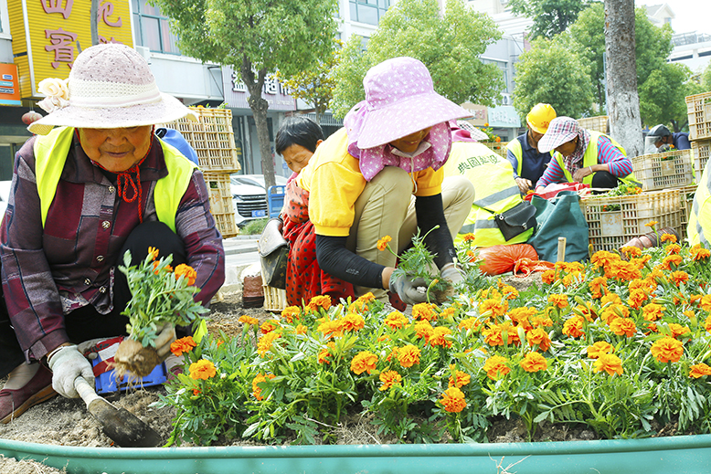 縣城管局更換和補(bǔ)植縣城公共綠地內(nèi)的花草